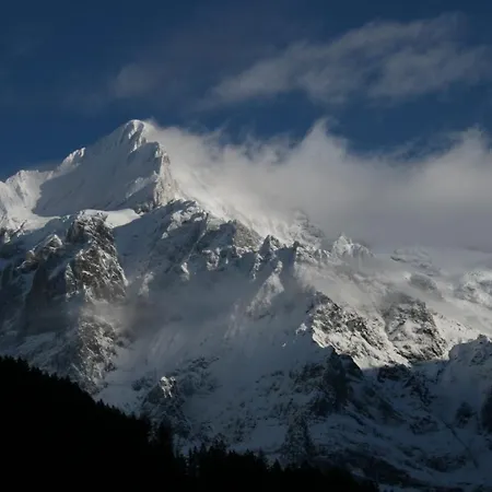 Eagle's Nest * Grindelwald