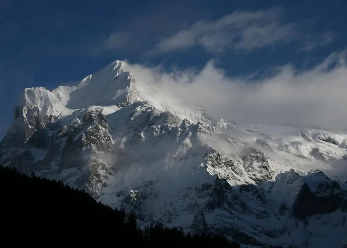 Eagle's Nest * Гріндельвальд