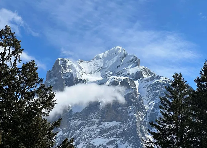 شقة Eagle's Nest *