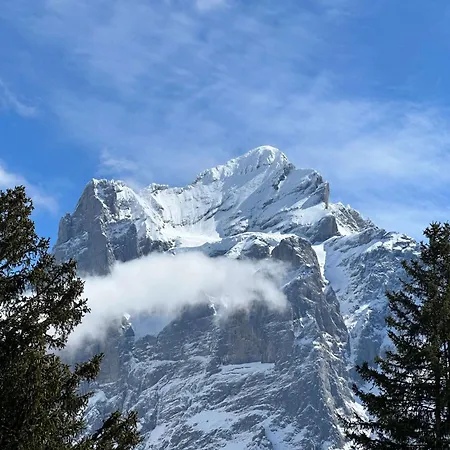 Apartman Eagle's Nest *